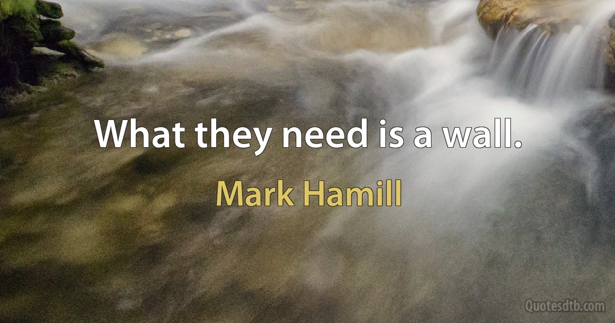 What they need is a wall. (Mark Hamill)