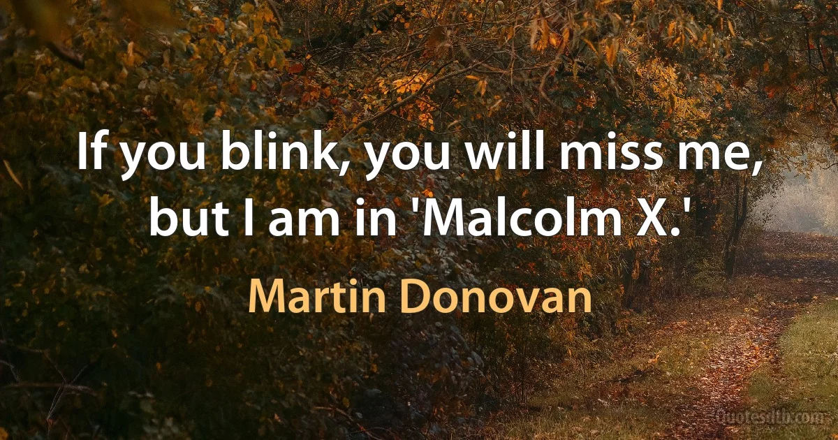 If you blink, you will miss me, but I am in 'Malcolm X.' (Martin Donovan)