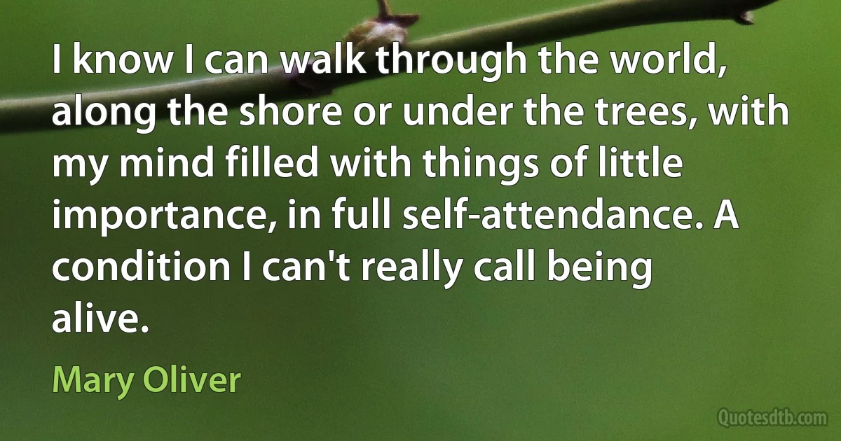 I know I can walk through the world, along the shore or under the trees, with my mind filled with things of little importance, in full self-attendance. A condition I can't really call being alive. (Mary Oliver)