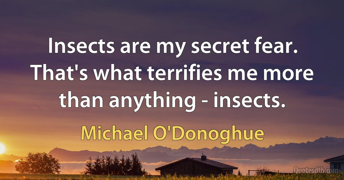 Insects are my secret fear. That's what terrifies me more than anything - insects. (Michael O'Donoghue)