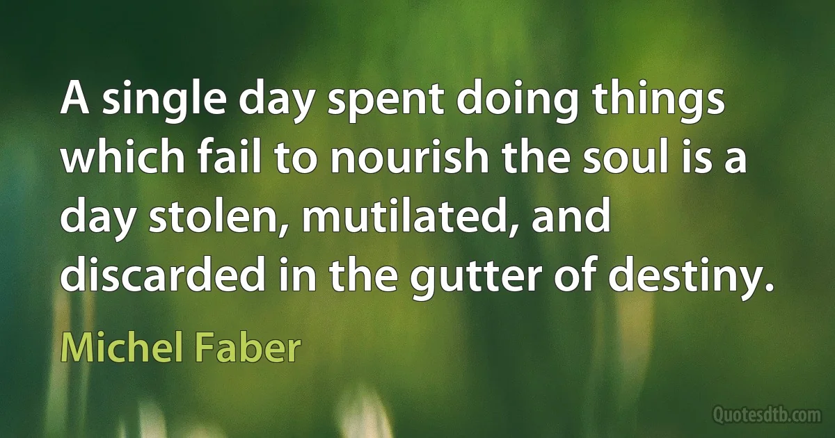 A single day spent doing things which fail to nourish the soul is a day stolen, mutilated, and discarded in the gutter of destiny. (Michel Faber)