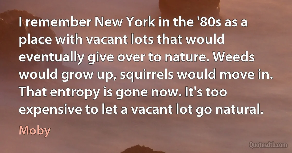 I remember New York in the '80s as a place with vacant lots that would eventually give over to nature. Weeds would grow up, squirrels would move in. That entropy is gone now. It's too expensive to let a vacant lot go natural. (Moby)