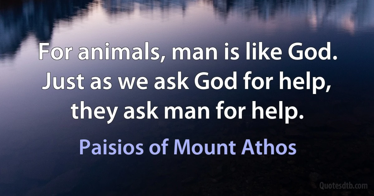 For animals, man is like God. Just as we ask God for help, they ask man for help. (Paisios of Mount Athos)