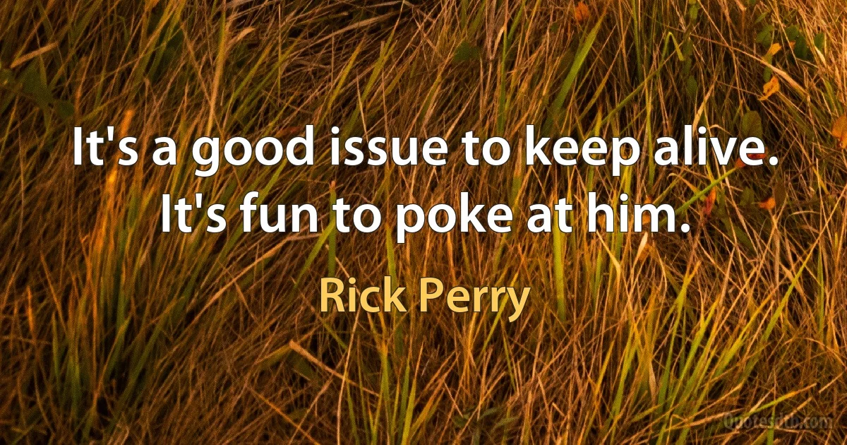 It's a good issue to keep alive. It's fun to poke at him. (Rick Perry)