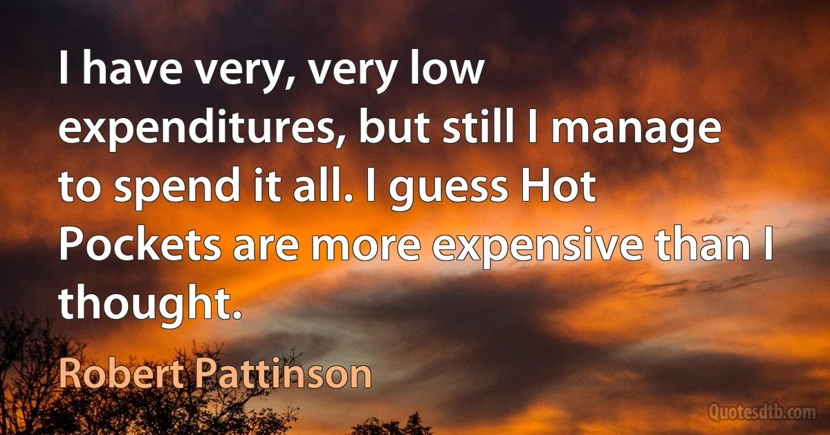 I have very, very low expenditures, but still I manage to spend it all. I guess Hot Pockets are more expensive than I thought. (Robert Pattinson)