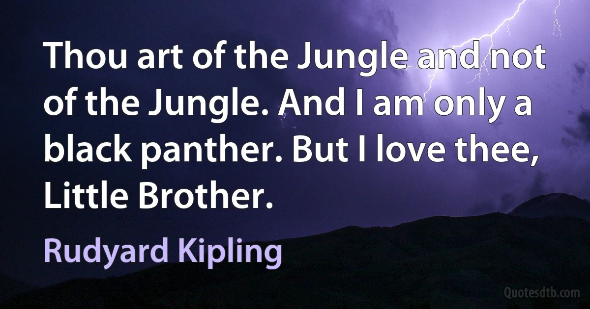 Thou art of the Jungle and not of the Jungle. And I am only a black panther. But I love thee, Little Brother. (Rudyard Kipling)