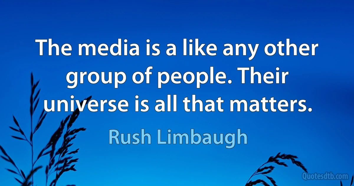 The media is a like any other group of people. Their universe is all that matters. (Rush Limbaugh)