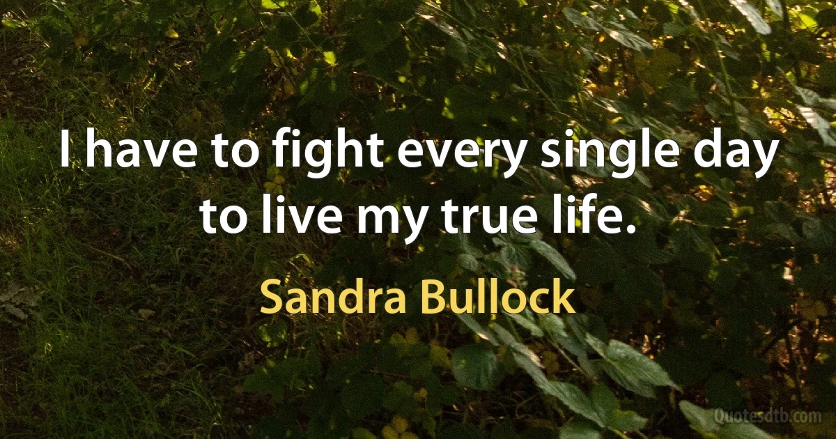 I have to fight every single day to live my true life. (Sandra Bullock)