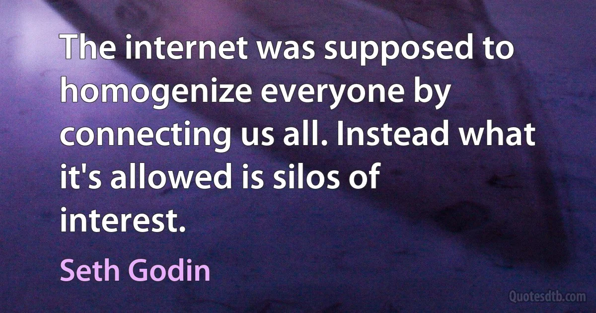 The internet was supposed to homogenize everyone by connecting us all. Instead what it's allowed is silos of interest. (Seth Godin)