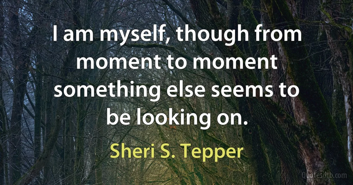 I am myself, though from moment to moment something else seems to be looking on. (Sheri S. Tepper)