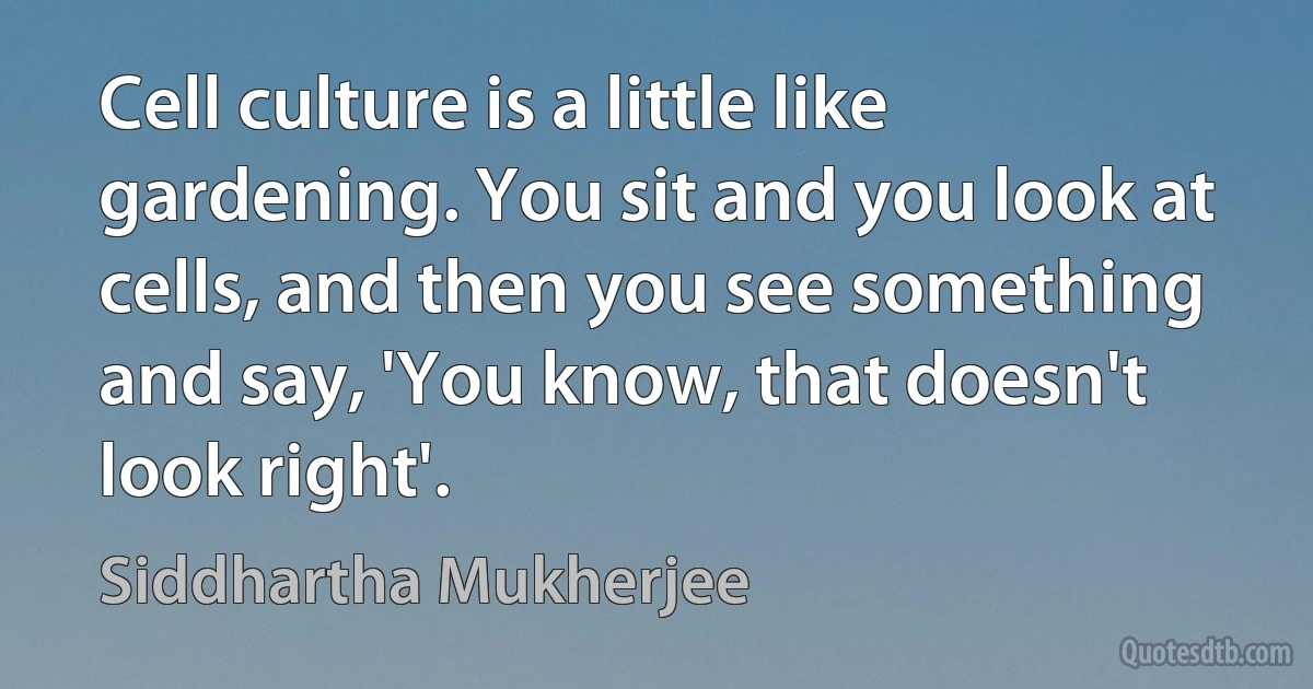 Cell culture is a little like gardening. You sit and you look at cells, and then you see something and say, 'You know, that doesn't look right'. (Siddhartha Mukherjee)