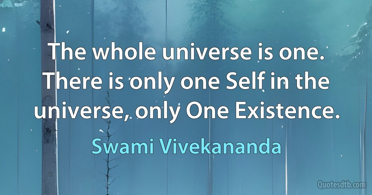 The whole universe is one. There is only one Self in the universe, only One Existence. (Swami Vivekananda)