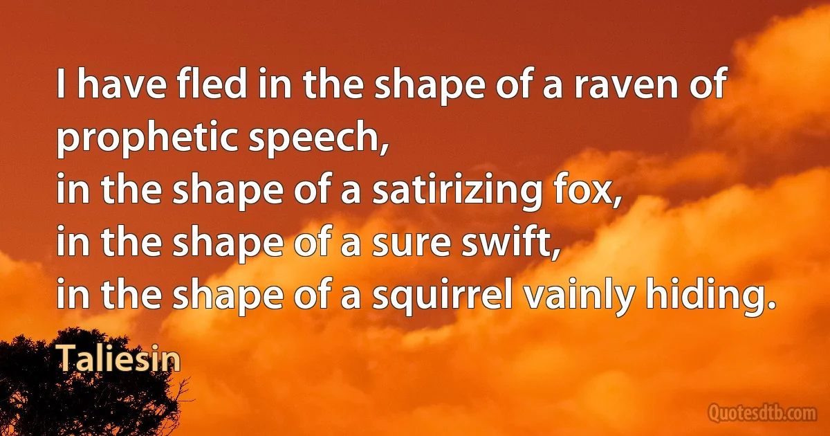 I have fled in the shape of a raven of prophetic speech,
in the shape of a satirizing fox,
in the shape of a sure swift,
in the shape of a squirrel vainly hiding. (Taliesin)