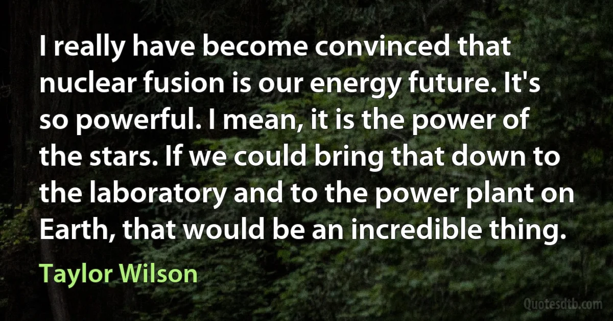 I really have become convinced that nuclear fusion is our energy future. It's so powerful. I mean, it is the power of the stars. If we could bring that down to the laboratory and to the power plant on Earth, that would be an incredible thing. (Taylor Wilson)