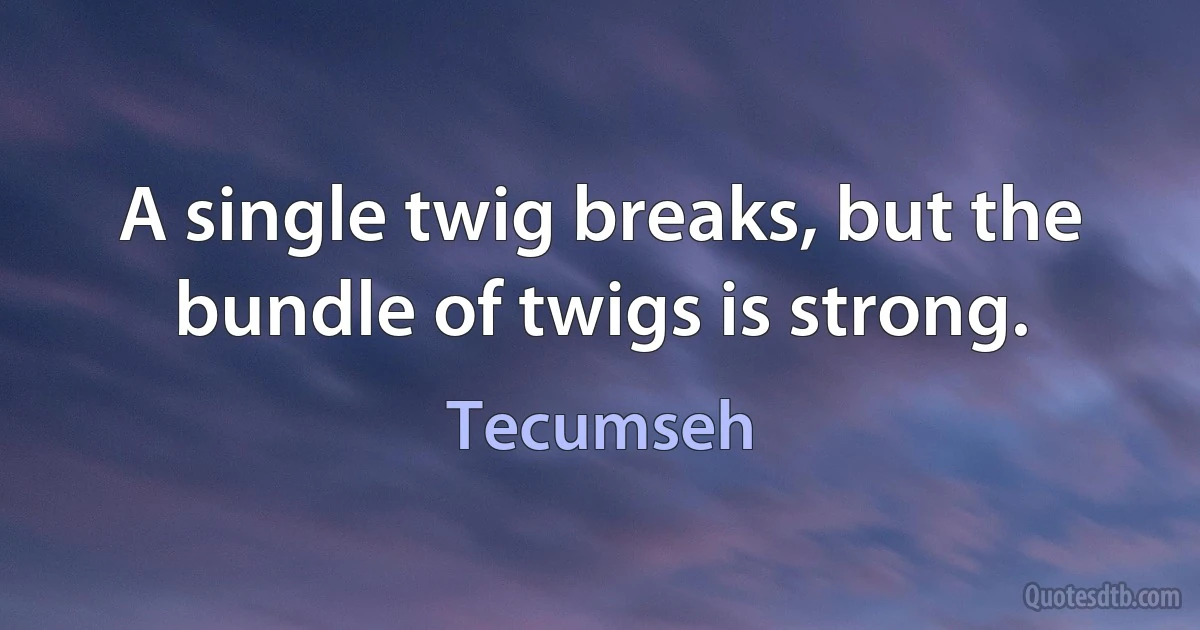 A single twig breaks, but the bundle of twigs is strong. (Tecumseh)