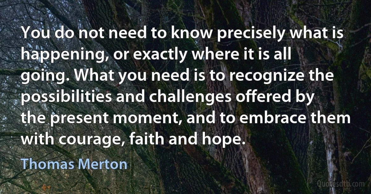 You do not need to know precisely what is happening, or exactly where it is all going. What you need is to recognize the possibilities and challenges offered by the present moment, and to embrace them with courage, faith and hope. (Thomas Merton)