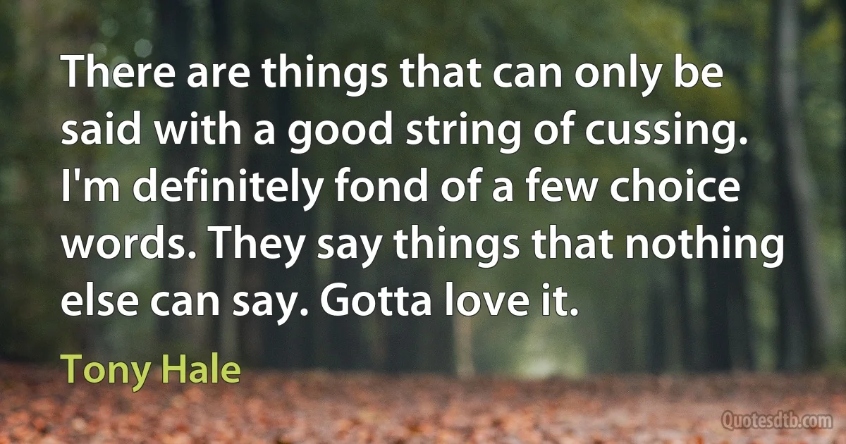 There are things that can only be said with a good string of cussing. I'm definitely fond of a few choice words. They say things that nothing else can say. Gotta love it. (Tony Hale)