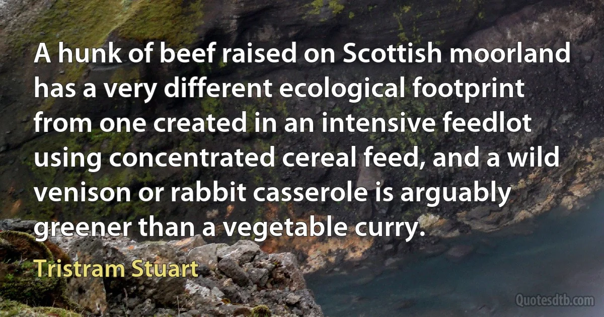 A hunk of beef raised on Scottish moorland has a very different ecological footprint from one created in an intensive feedlot using concentrated cereal feed, and a wild venison or rabbit casserole is arguably greener than a vegetable curry. (Tristram Stuart)