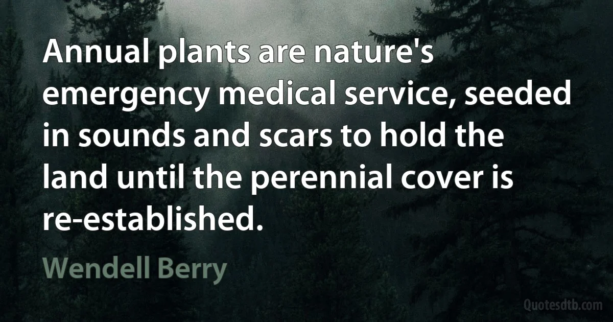 Annual plants are nature's emergency medical service, seeded in sounds and scars to hold the land until the perennial cover is re-established. (Wendell Berry)