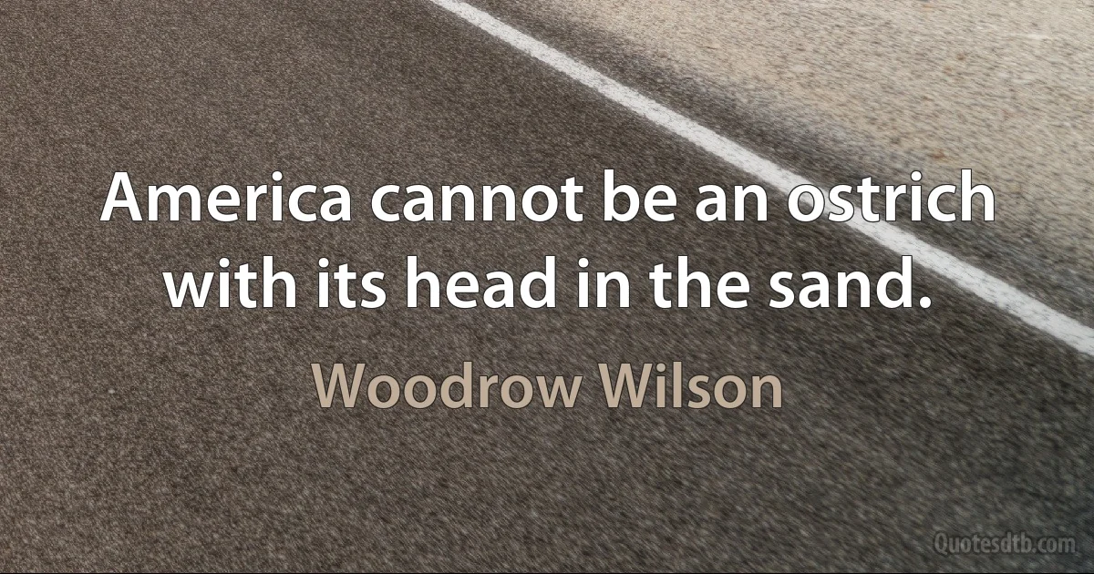 America cannot be an ostrich with its head in the sand. (Woodrow Wilson)