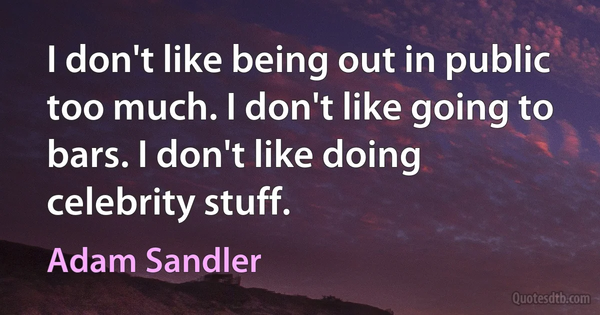 I don't like being out in public too much. I don't like going to bars. I don't like doing celebrity stuff. (Adam Sandler)