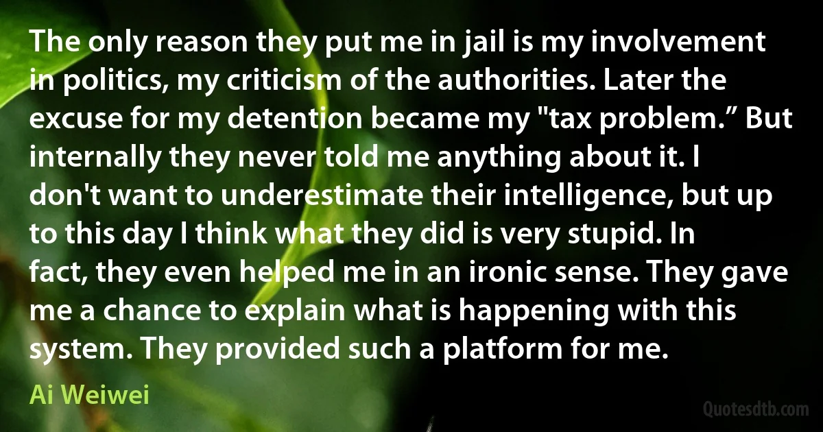 The only reason they put me in jail is my involvement in politics, my criticism of the authorities. Later the excuse for my detention became my "tax problem.” But internally they never told me anything about it. I don't want to underestimate their intelligence, but up to this day I think what they did is very stupid. In fact, they even helped me in an ironic sense. They gave me a chance to explain what is happening with this system. They provided such a platform for me. (Ai Weiwei)