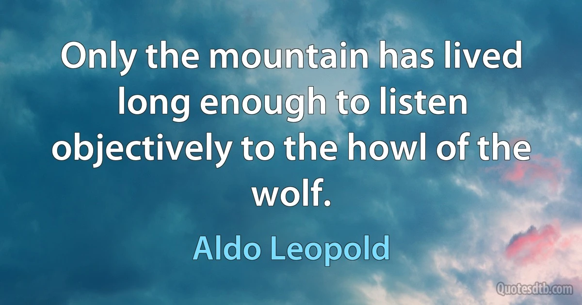 Only the mountain has lived long enough to listen objectively to the howl of the wolf. (Aldo Leopold)