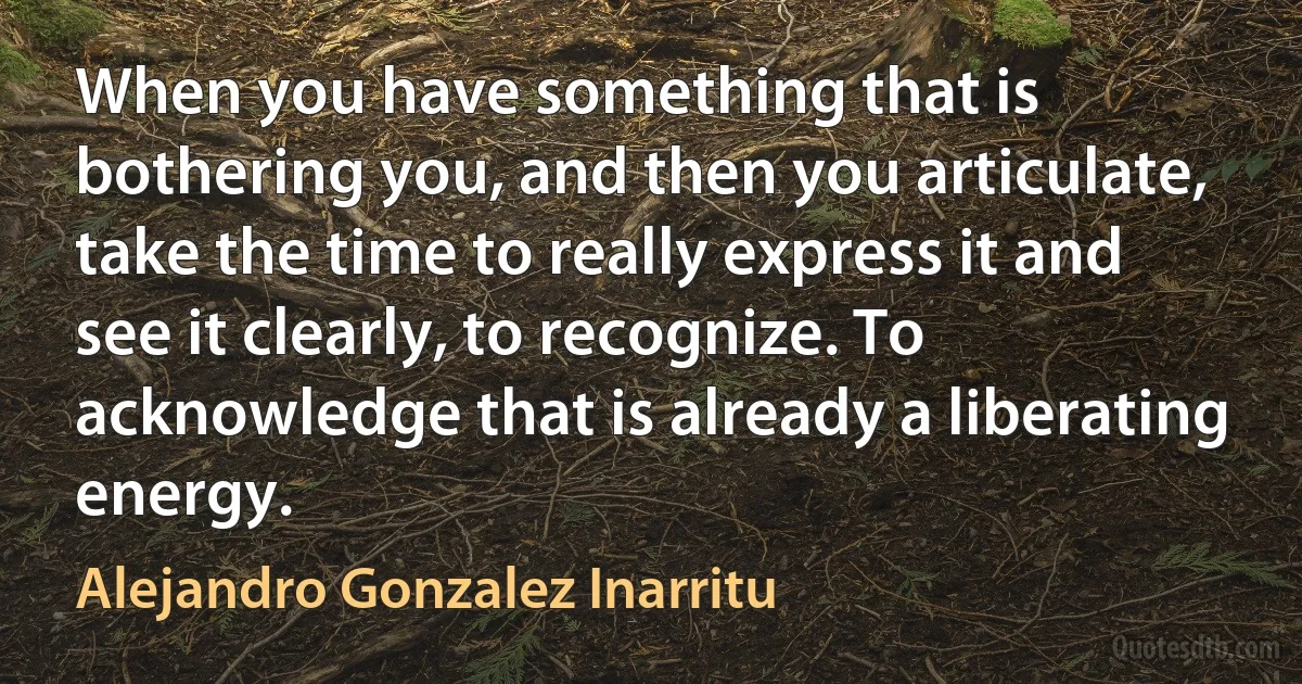 When you have something that is bothering you, and then you articulate, take the time to really express it and see it clearly, to recognize. To acknowledge that is already a liberating energy. (Alejandro Gonzalez Inarritu)