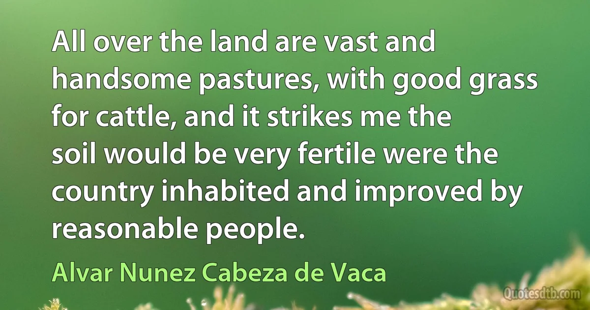 All over the land are vast and handsome pastures, with good grass for cattle, and it strikes me the soil would be very fertile were the country inhabited and improved by reasonable people. (Alvar Nunez Cabeza de Vaca)