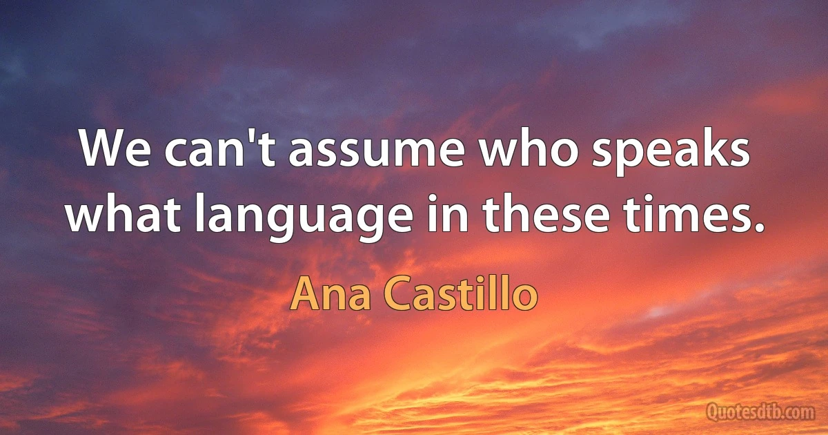 We can't assume who speaks what language in these times. (Ana Castillo)