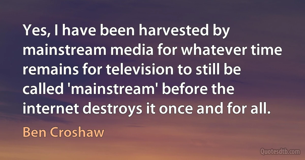 Yes, I have been harvested by mainstream media for whatever time remains for television to still be called 'mainstream' before the internet destroys it once and for all. (Ben Croshaw)