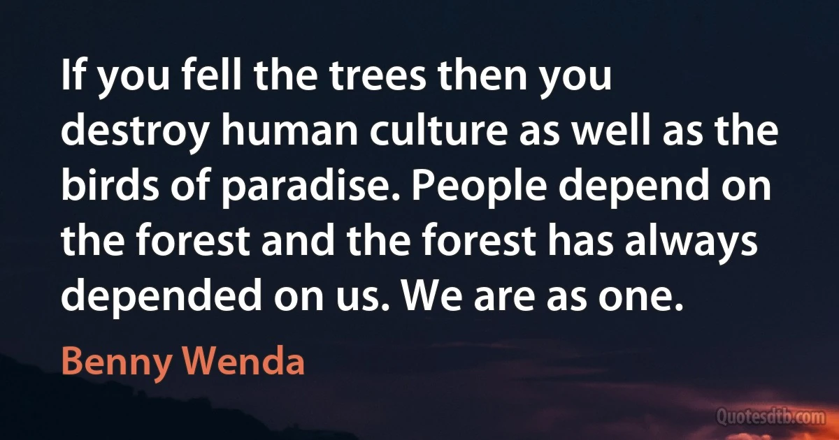 If you fell the trees then you destroy human culture as well as the birds of paradise. People depend on the forest and the forest has always depended on us. We are as one. (Benny Wenda)