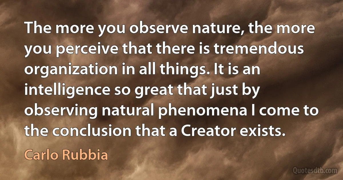 The more you observe nature, the more you perceive that there is tremendous organization in all things. It is an intelligence so great that just by observing natural phenomena I come to the conclusion that a Creator exists. (Carlo Rubbia)