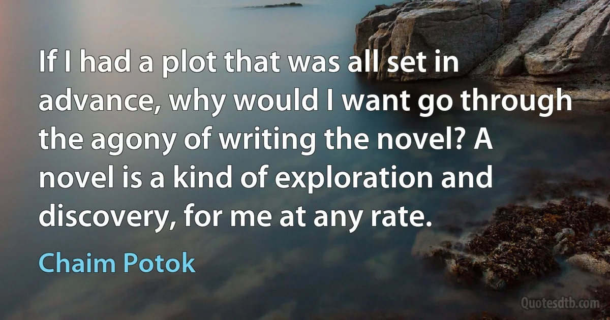 If I had a plot that was all set in advance, why would I want go through the agony of writing the novel? A novel is a kind of exploration and discovery, for me at any rate. (Chaim Potok)