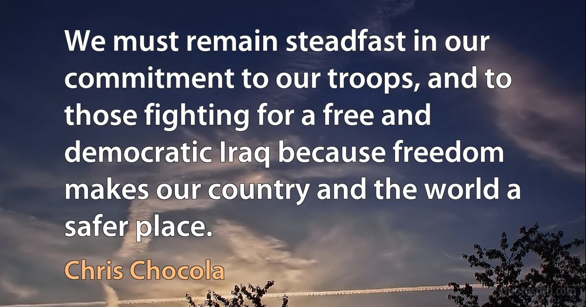 We must remain steadfast in our commitment to our troops, and to those fighting for a free and democratic Iraq because freedom makes our country and the world a safer place. (Chris Chocola)