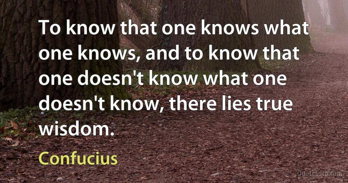 To know that one knows what one knows, and to know that one doesn't know what one doesn't know, there lies true wisdom. (Confucius)