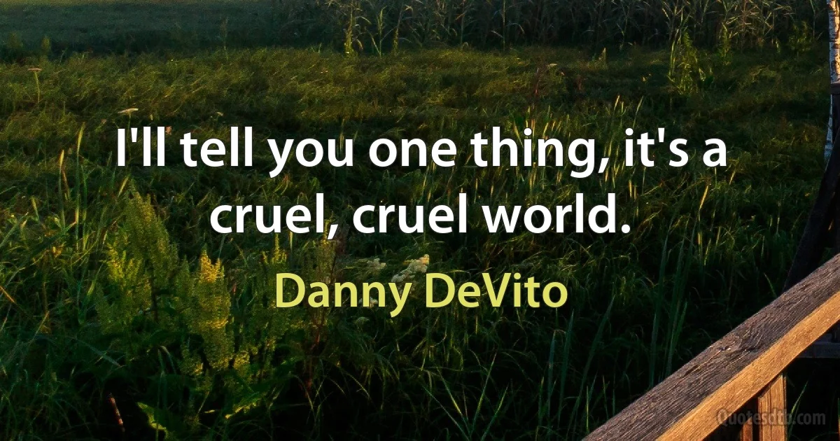 I'll tell you one thing, it's a cruel, cruel world. (Danny DeVito)