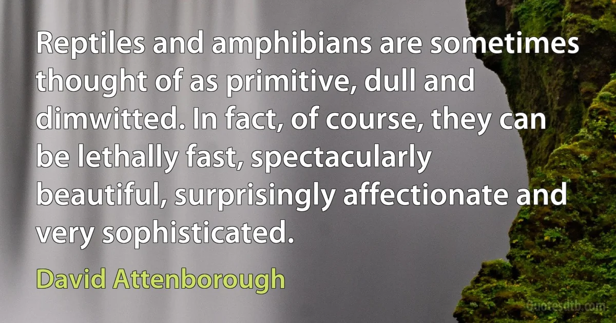 Reptiles and amphibians are sometimes thought of as primitive, dull and dimwitted. In fact, of course, they can be lethally fast, spectacularly beautiful, surprisingly affectionate and very sophisticated. (David Attenborough)