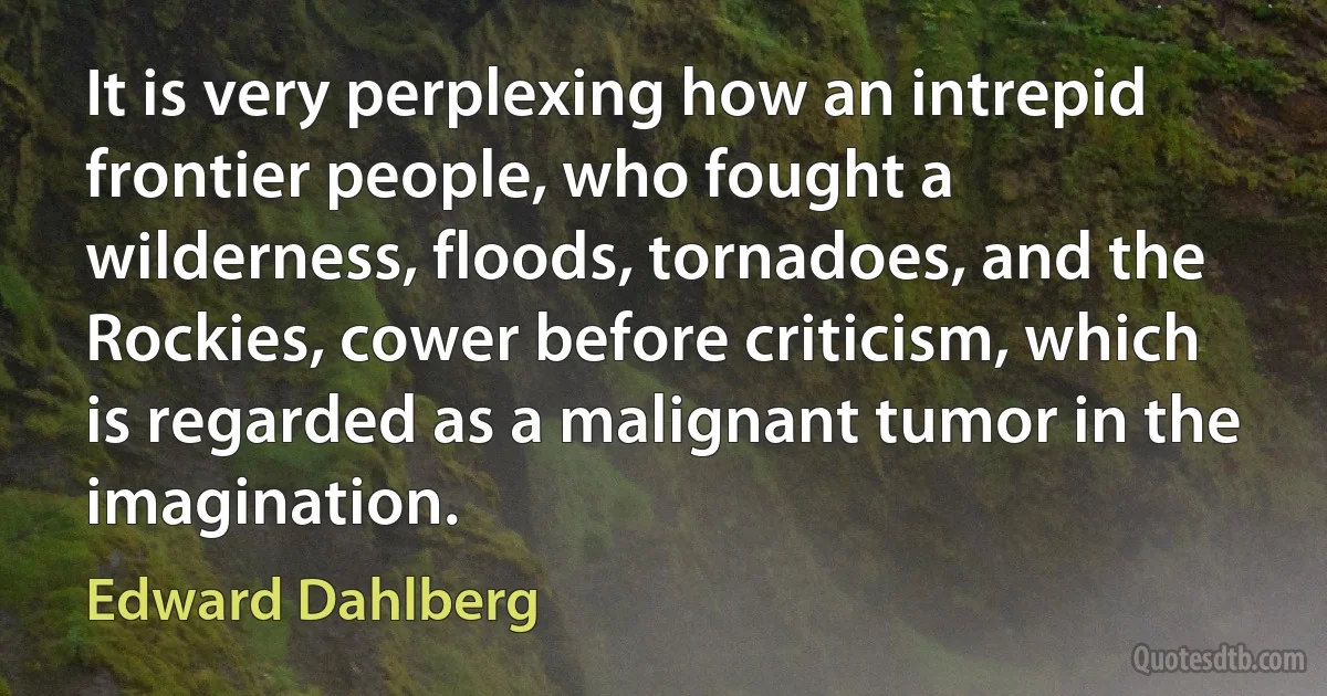 It is very perplexing how an intrepid frontier people, who fought a wilderness, floods, tornadoes, and the Rockies, cower before criticism, which is regarded as a malignant tumor in the imagination. (Edward Dahlberg)