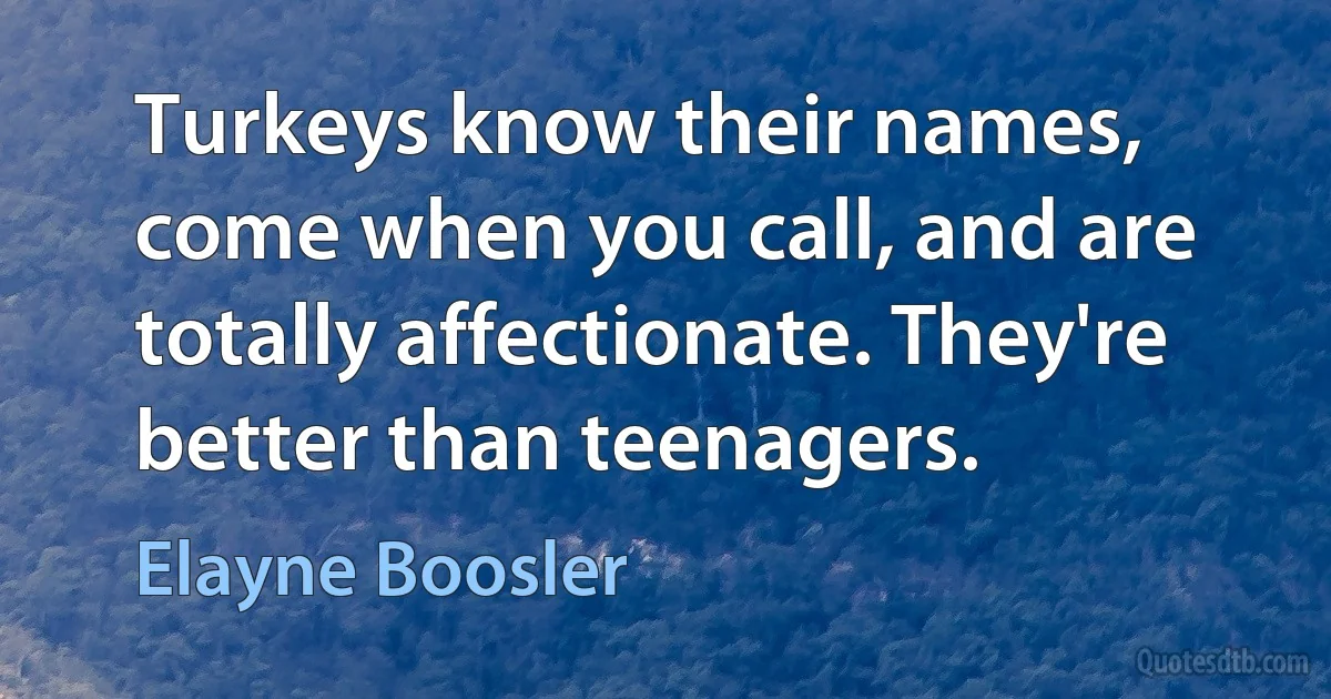 Turkeys know their names, come when you call, and are totally affectionate. They're better than teenagers. (Elayne Boosler)