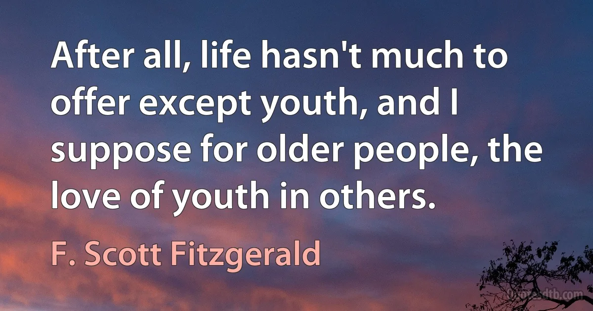 After all, life hasn't much to offer except youth, and I suppose for older people, the love of youth in others. (F. Scott Fitzgerald)