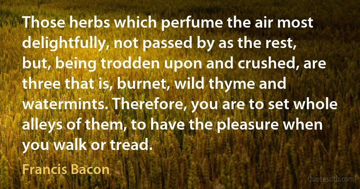 Those herbs which perfume the air most delightfully, not passed by as the rest, but, being trodden upon and crushed, are three that is, burnet, wild thyme and watermints. Therefore, you are to set whole alleys of them, to have the pleasure when you walk or tread. (Francis Bacon)