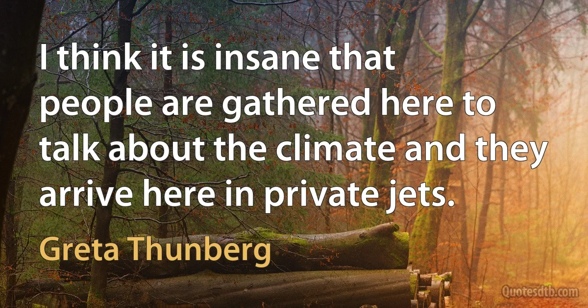 I think it is insane that people are gathered here to talk about the climate and they arrive here in private jets. (Greta Thunberg)