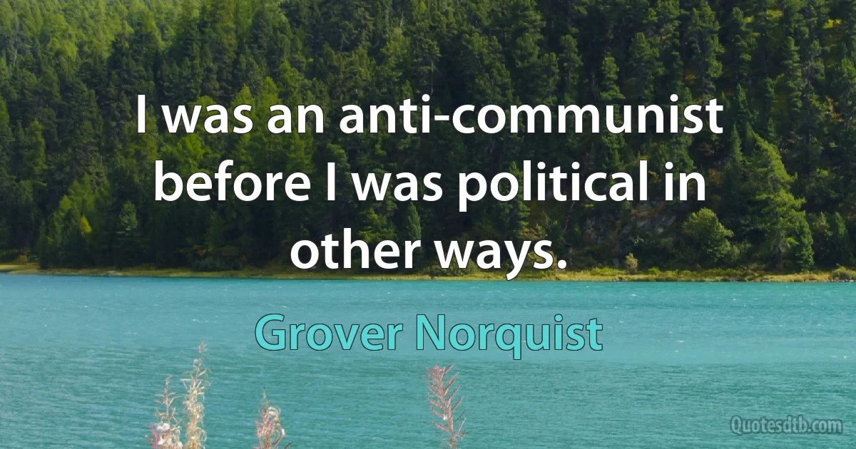 I was an anti-communist before I was political in other ways. (Grover Norquist)