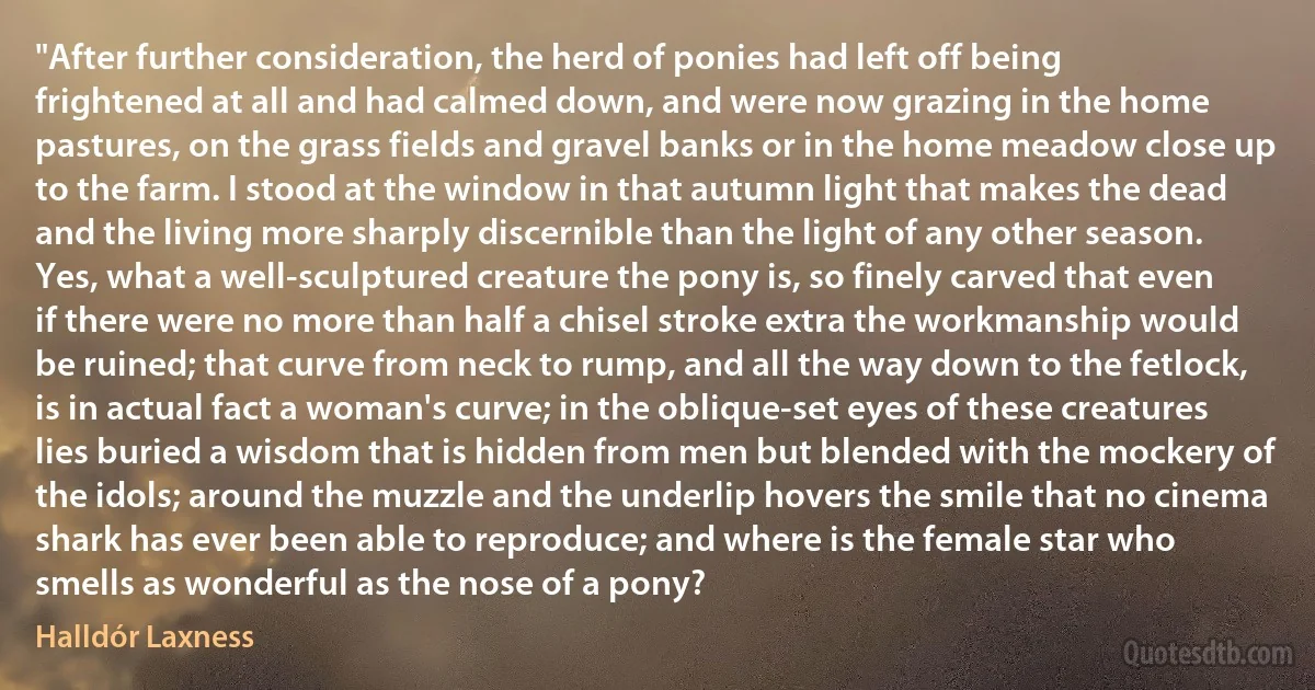 "After further consideration, the herd of ponies had left off being frightened at all and had calmed down, and were now grazing in the home pastures, on the grass fields and gravel banks or in the home meadow close up to the farm. I stood at the window in that autumn light that makes the dead and the living more sharply discernible than the light of any other season. Yes, what a well-sculptured creature the pony is, so finely carved that even if there were no more than half a chisel stroke extra the workmanship would be ruined; that curve from neck to rump, and all the way down to the fetlock, is in actual fact a woman's curve; in the oblique-set eyes of these creatures lies buried a wisdom that is hidden from men but blended with the mockery of the idols; around the muzzle and the underlip hovers the smile that no cinema shark has ever been able to reproduce; and where is the female star who smells as wonderful as the nose of a pony? (Halldór Laxness)