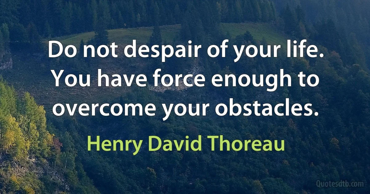 Do not despair of your life. You have force enough to overcome your obstacles. (Henry David Thoreau)