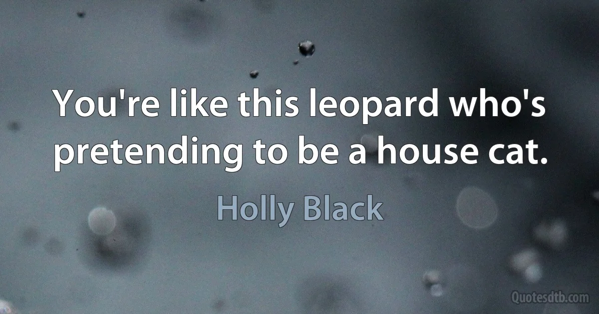 You're like this leopard who's pretending to be a house cat. (Holly Black)