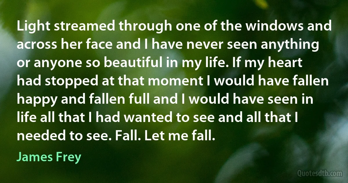 Light streamed through one of the windows and across her face and I have never seen anything or anyone so beautiful in my life. If my heart had stopped at that moment I would have fallen happy and fallen full and I would have seen in life all that I had wanted to see and all that I needed to see. Fall. Let me fall. (James Frey)