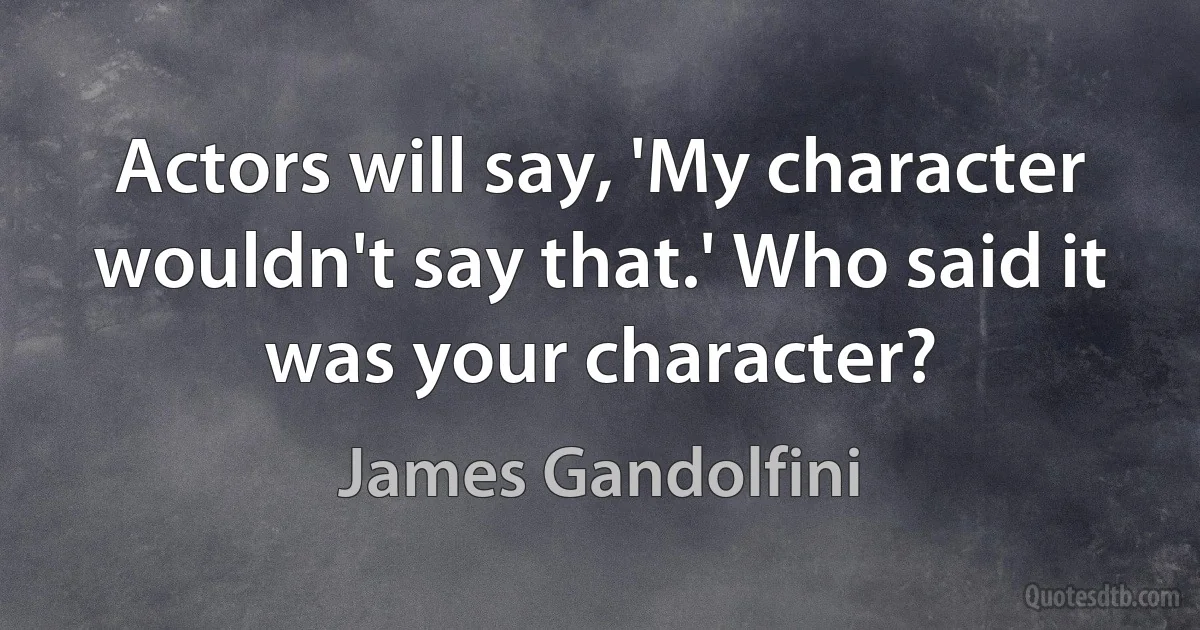 Actors will say, 'My character wouldn't say that.' Who said it was your character? (James Gandolfini)