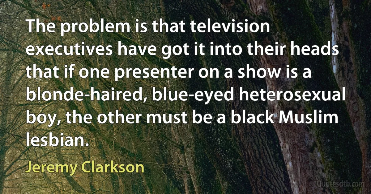 The problem is that television executives have got it into their heads that if one presenter on a show is a blonde-haired, blue-eyed heterosexual boy, the other must be a black Muslim lesbian. (Jeremy Clarkson)